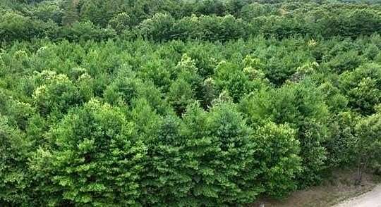 0.86 Acres of Residential Land for Sale in Redgranite, Wisconsin