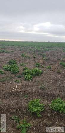 1.46 Acres of Residential Land for Sale in Rexburg, Idaho