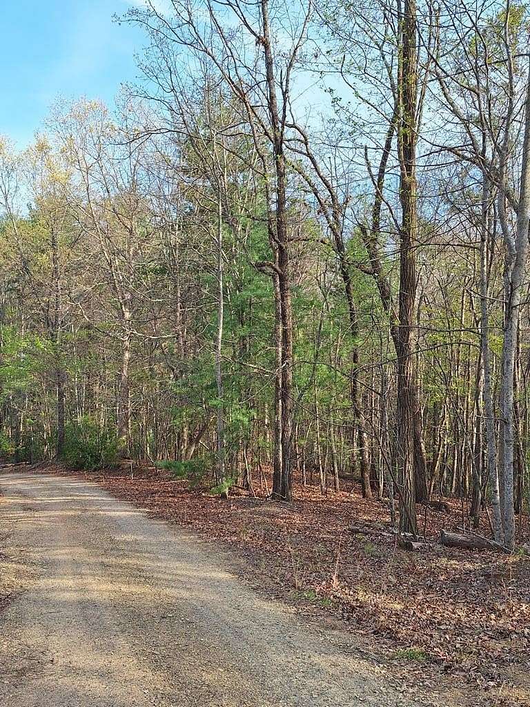 2.77 Acres of Residential Land for Sale in Morganton, Georgia