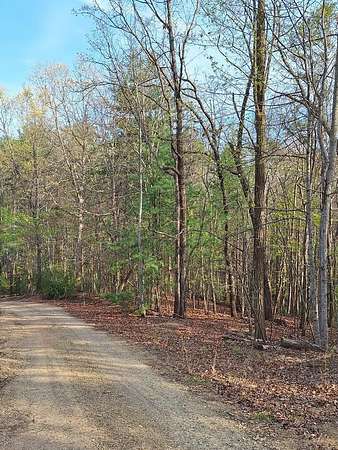 2.77 Acres of Residential Land for Sale in Morganton, Georgia