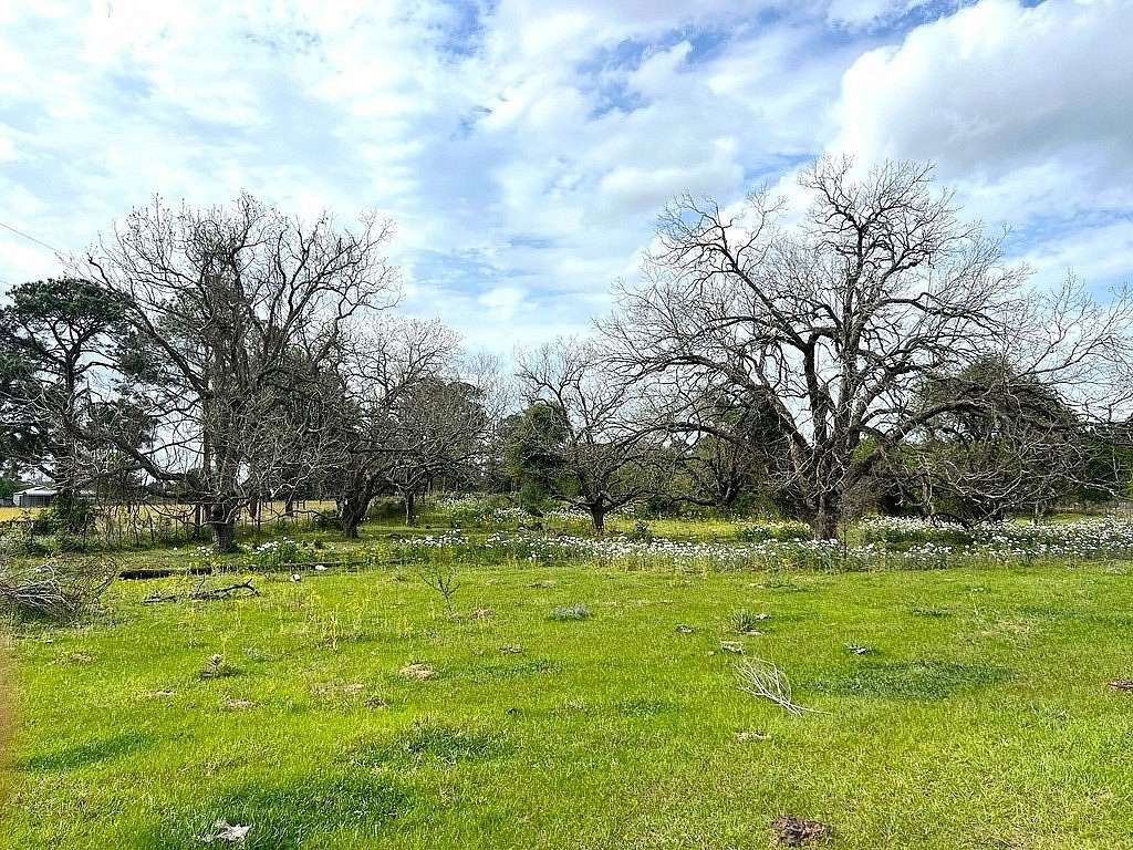42.2 Acres of Land for Sale in Sealy, Texas