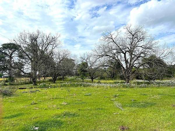 42.2 Acres of Land for Sale in Sealy, Texas
