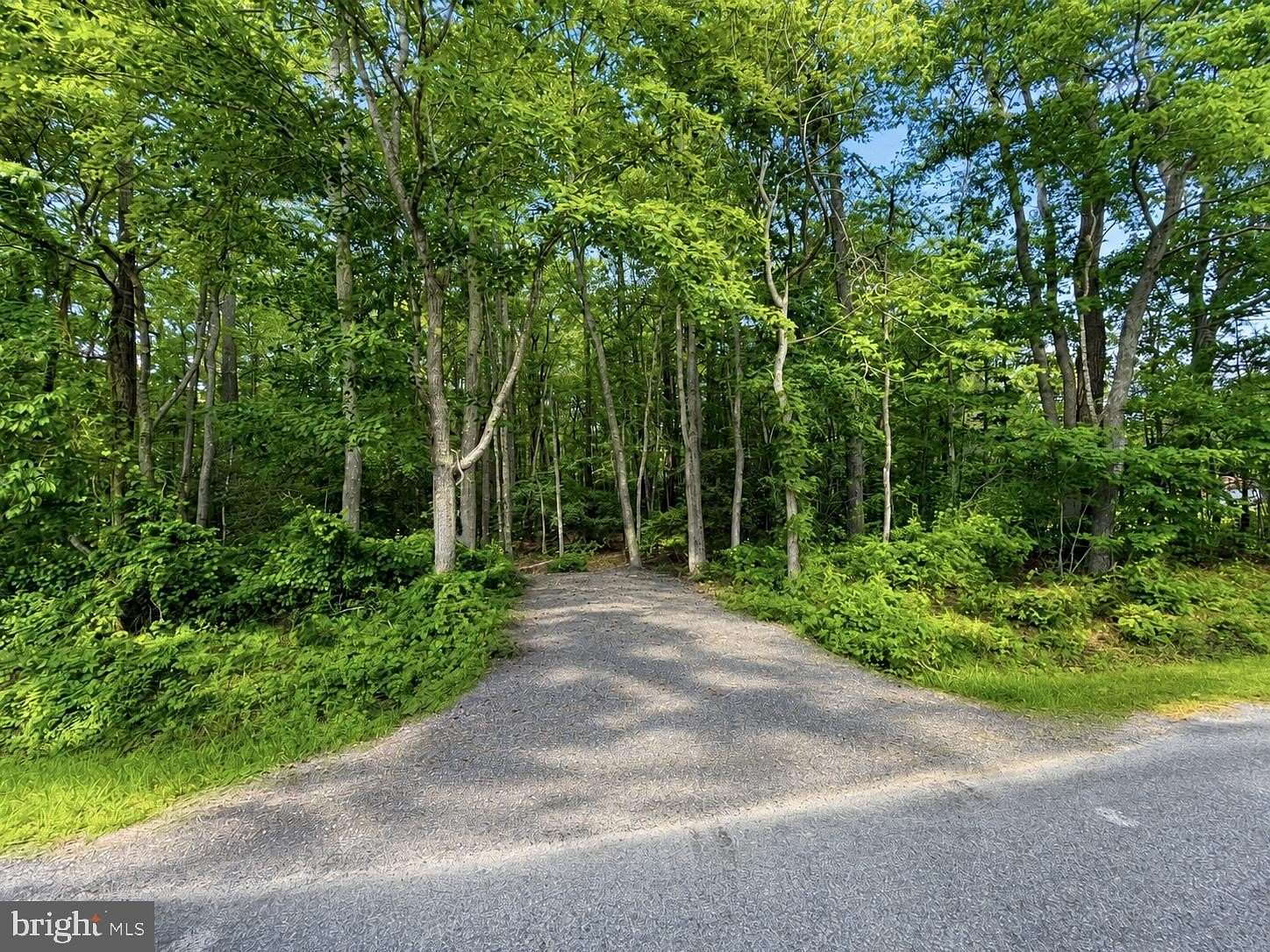 4.37 Acres of Residential Land for Sale in Princess Anne, Maryland