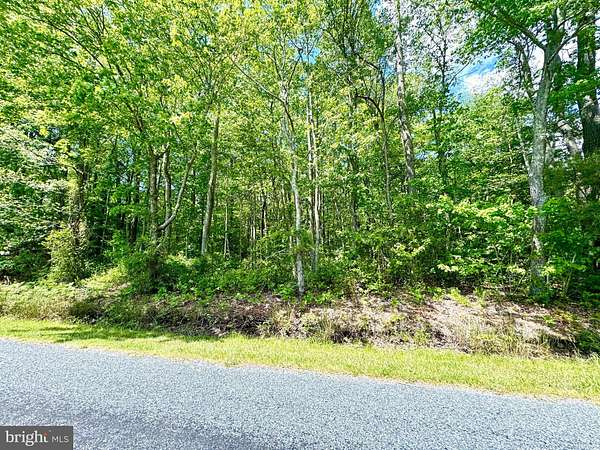 4.37 Acres of Residential Land for Sale in Princess Anne, Maryland