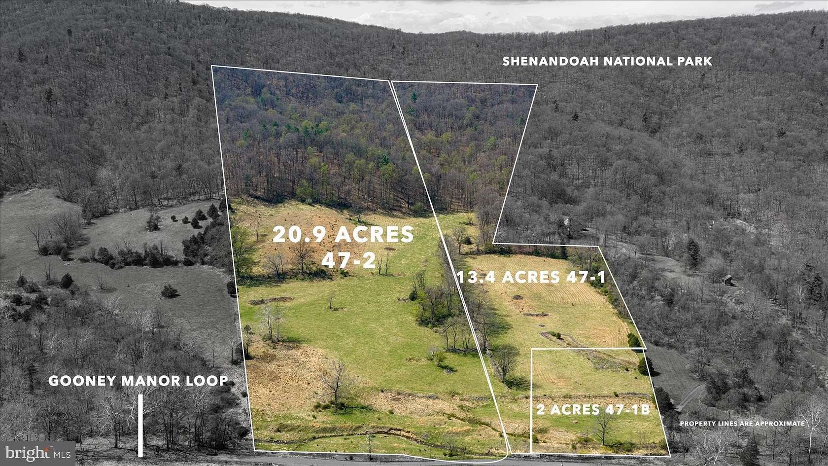 36.3 Acres of Recreational & Residential Land for Sale in Bentonville, Virginia