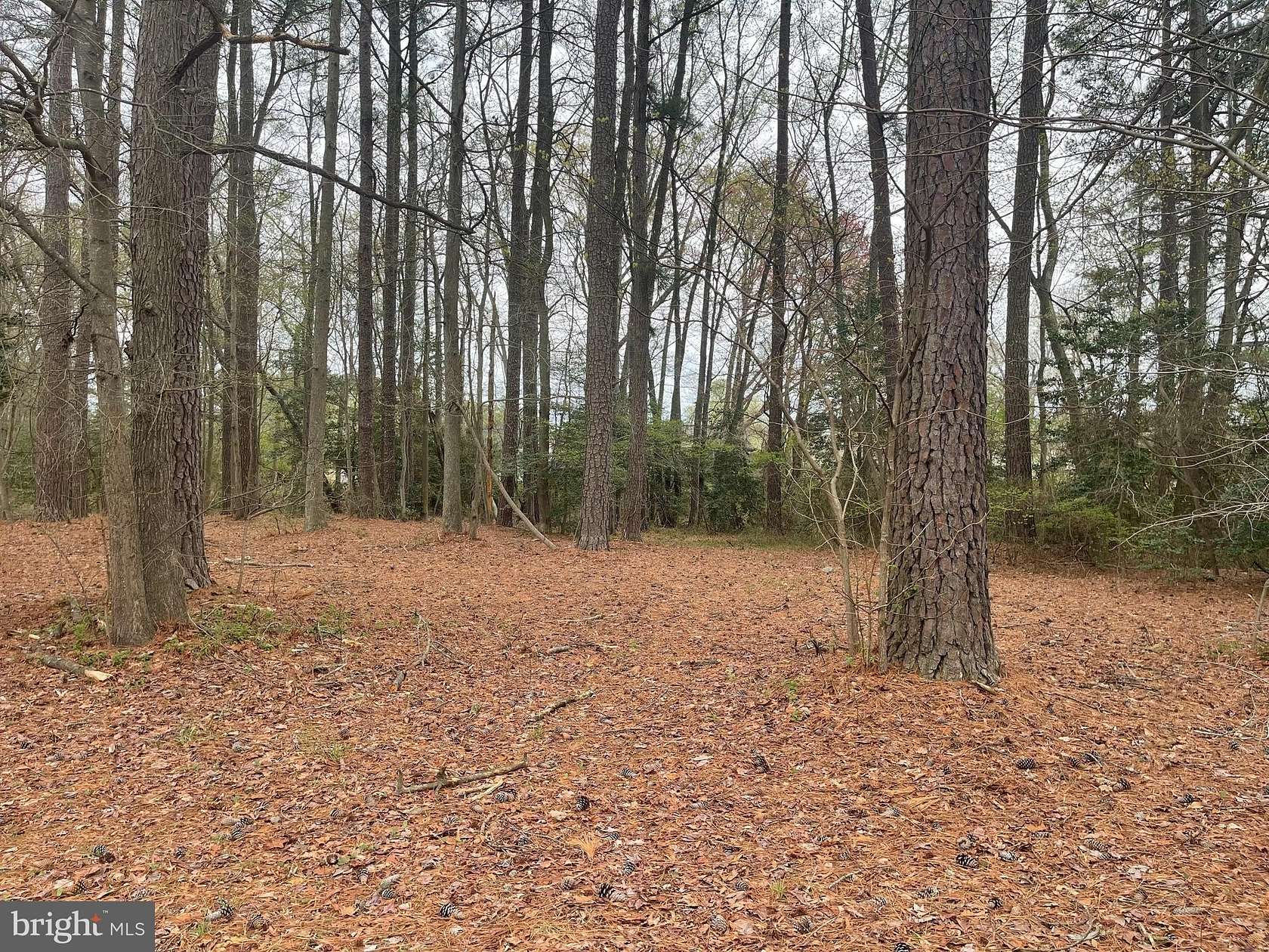 0.35 Acres of Land for Sale in Montross, Virginia