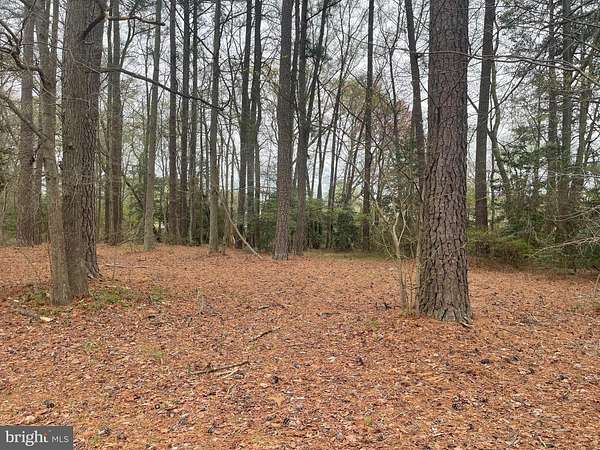 0.35 Acres of Land for Sale in Montross, Virginia