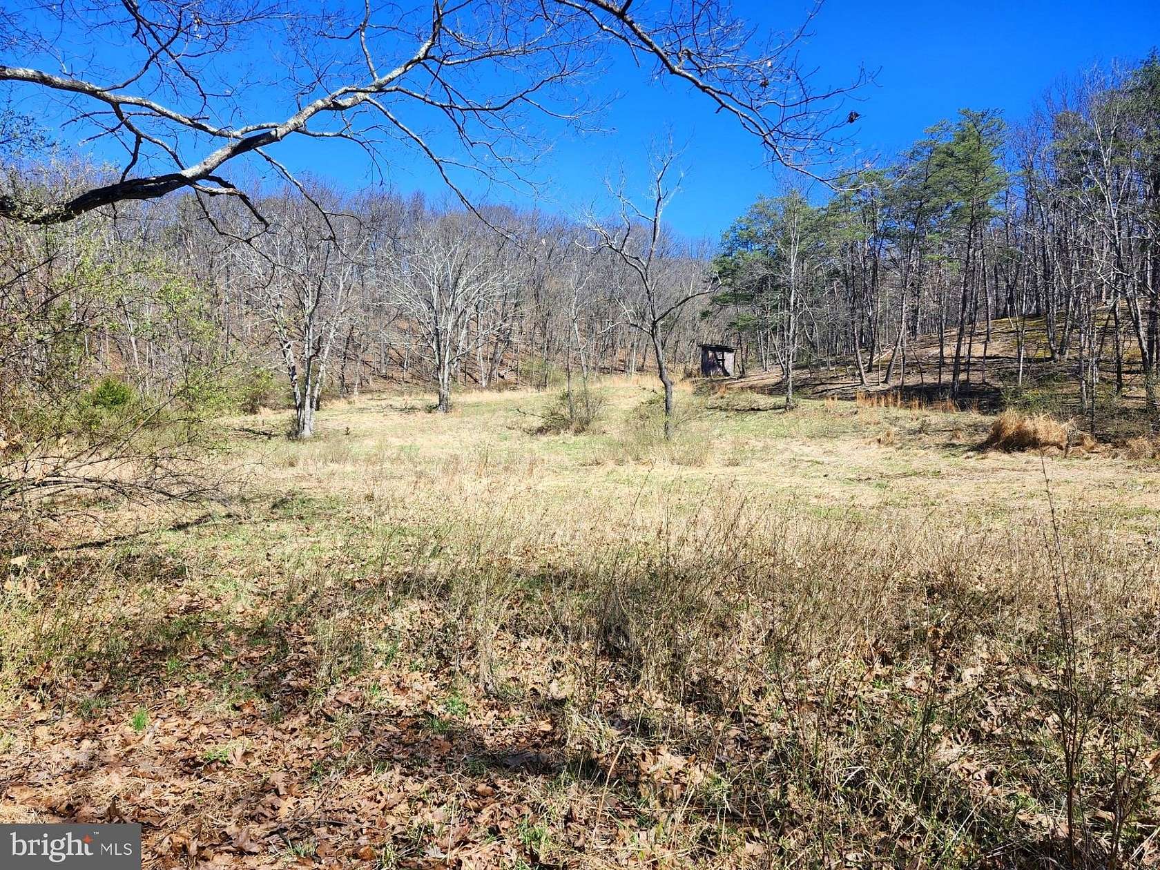 20.5 Acres of Recreational & Residential Land for Sale in Purgitsville, West Virginia