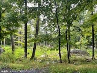 1.1 Acres of Land for Sale in Greentown, Pennsylvania