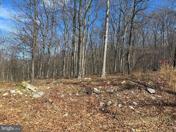 2 Acres of Land for Sale in Romney, West Virginia