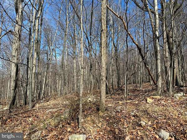 2 Acres of Land for Sale in Romney, West Virginia