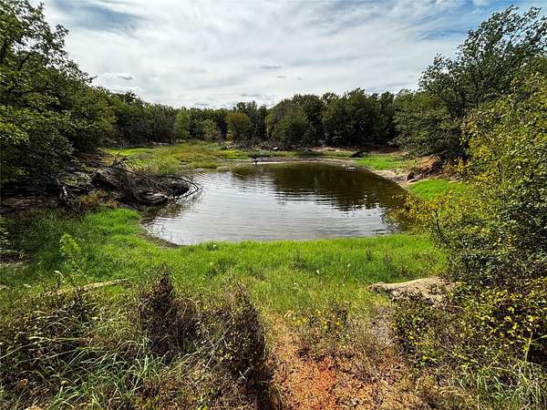 20.7 Acres of Land with Home for Sale in De Leon, Texas