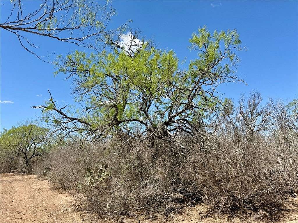 30 Acres of Land for Sale in San Diego, Texas