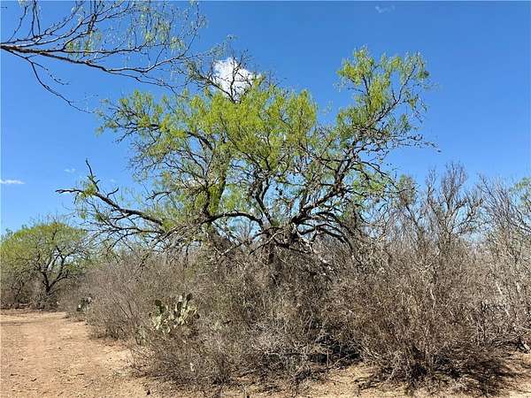 30 Acres of Land for Sale in San Diego, Texas