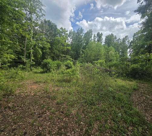4.9 Acres of Residential Land for Sale in Molino, Florida