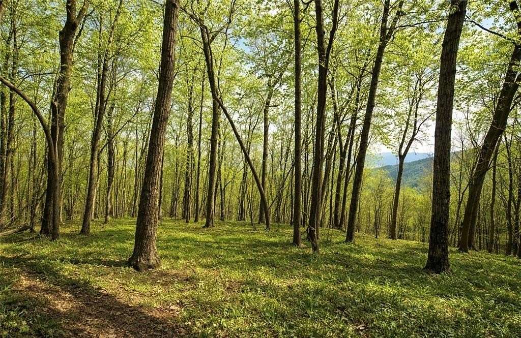 1 Acre of Residential Land for Sale in Jasper, Georgia