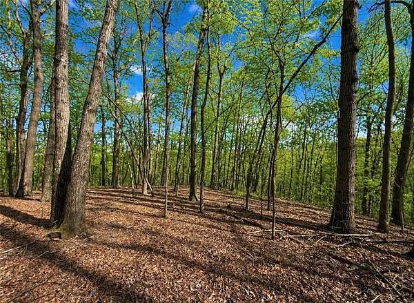 1 Acre of Residential Land for Sale in Jasper, Georgia