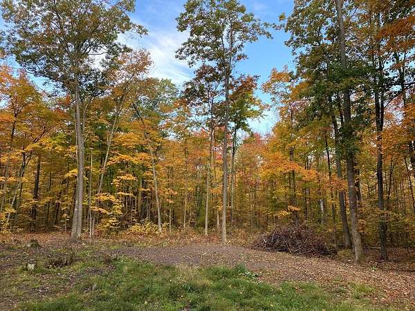 8 Acres of Land for Sale in Stone Lake, Wisconsin