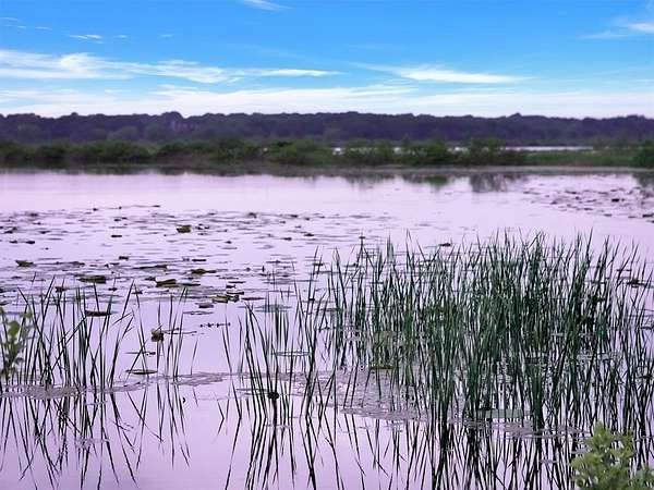 0.18 Acres of Residential Land for Sale in Gordonville, Texas