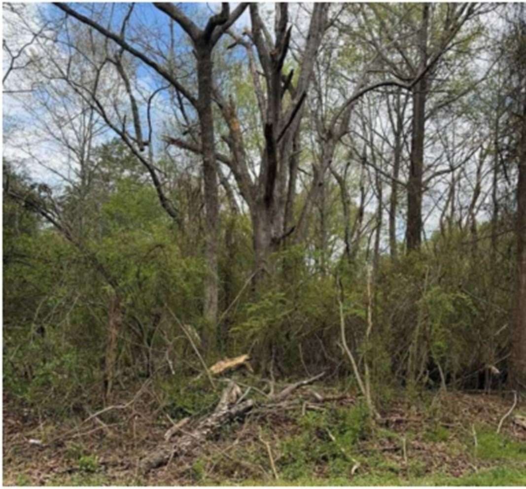 1.7 Acres of Residential Land for Sale in Pelzer, South Carolina