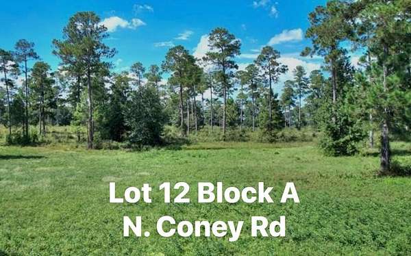 1 Acre of Residential Land for Sale in Cordele, Georgia