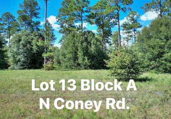 1 Acre of Residential Land for Sale in Cordele, Georgia