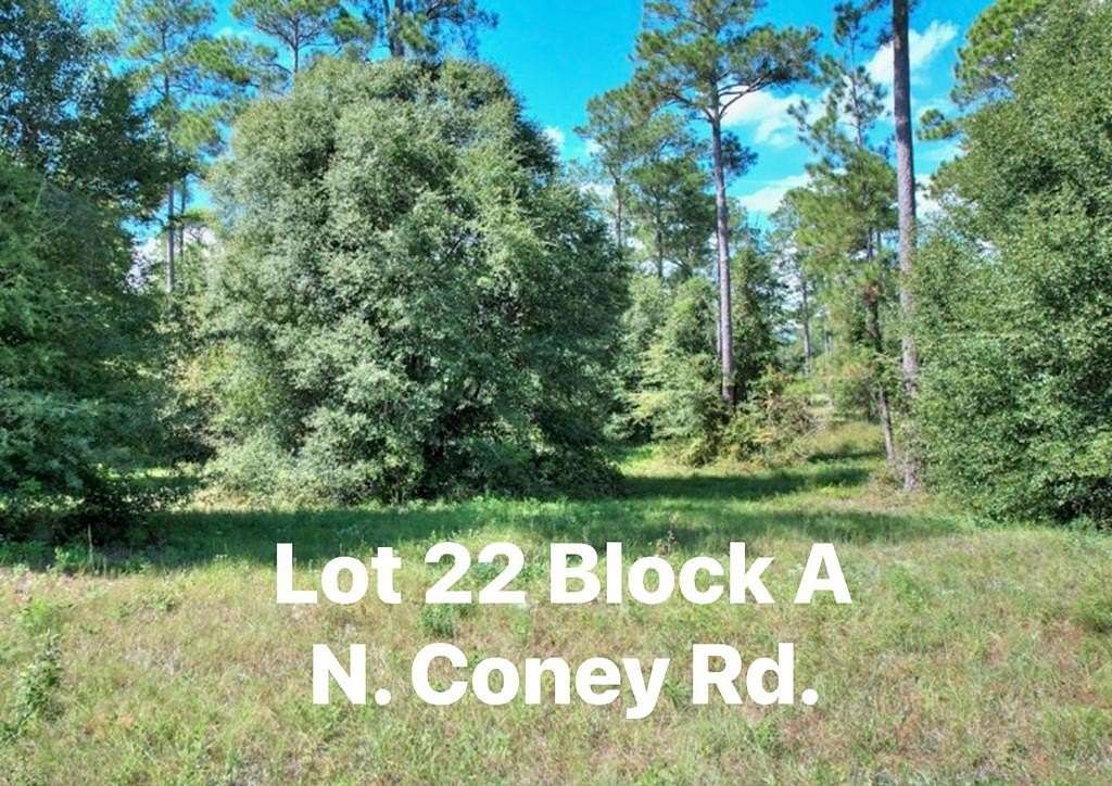 1 Acre of Residential Land for Sale in Cordele, Georgia