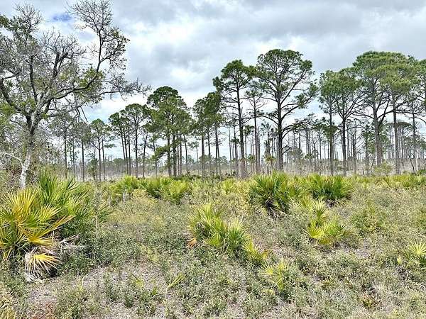 1 Acre of Land for Sale in Cedar Key, Florida