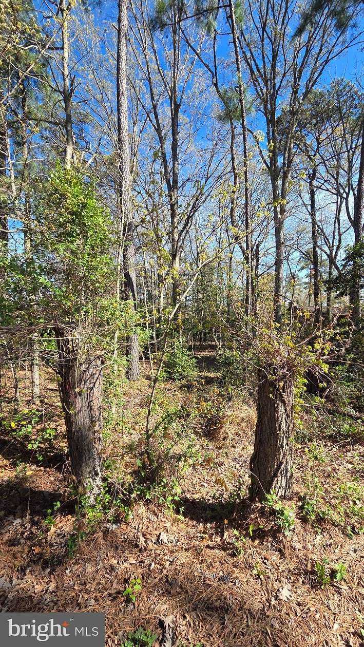 0.56 Acres of Residential Land for Sale in Stevensville, Maryland