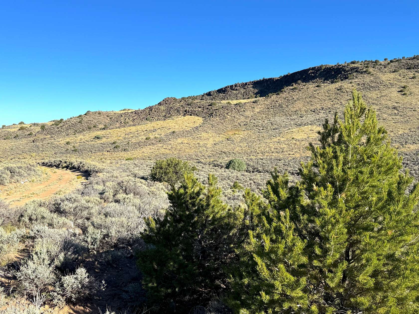 2.72 Acres of Residential Land for Sale in San Luis, Colorado