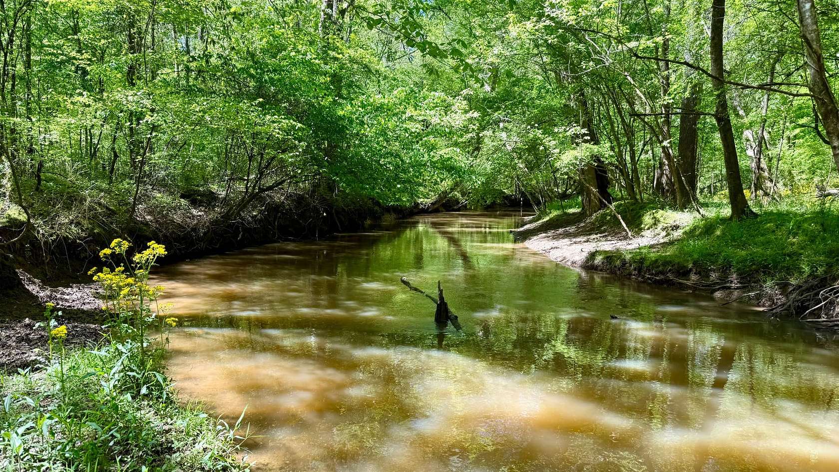 59 Acres of Recreational Land for Sale in The Rock, Georgia