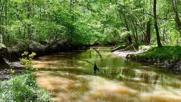 59 Acres of Recreational Land for Sale in The Rock, Georgia