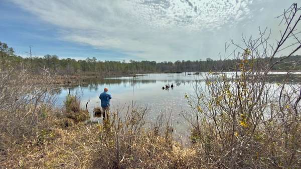 135 Acres of Recreational & Residential Land for Sale in Vass, North Carolina
