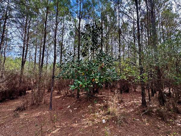 15.7 Acres of Recreational Land for Sale in Madison, Florida