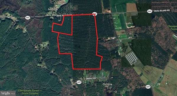 191 Acres of Recreational Land for Sale in Princess Anne, Maryland