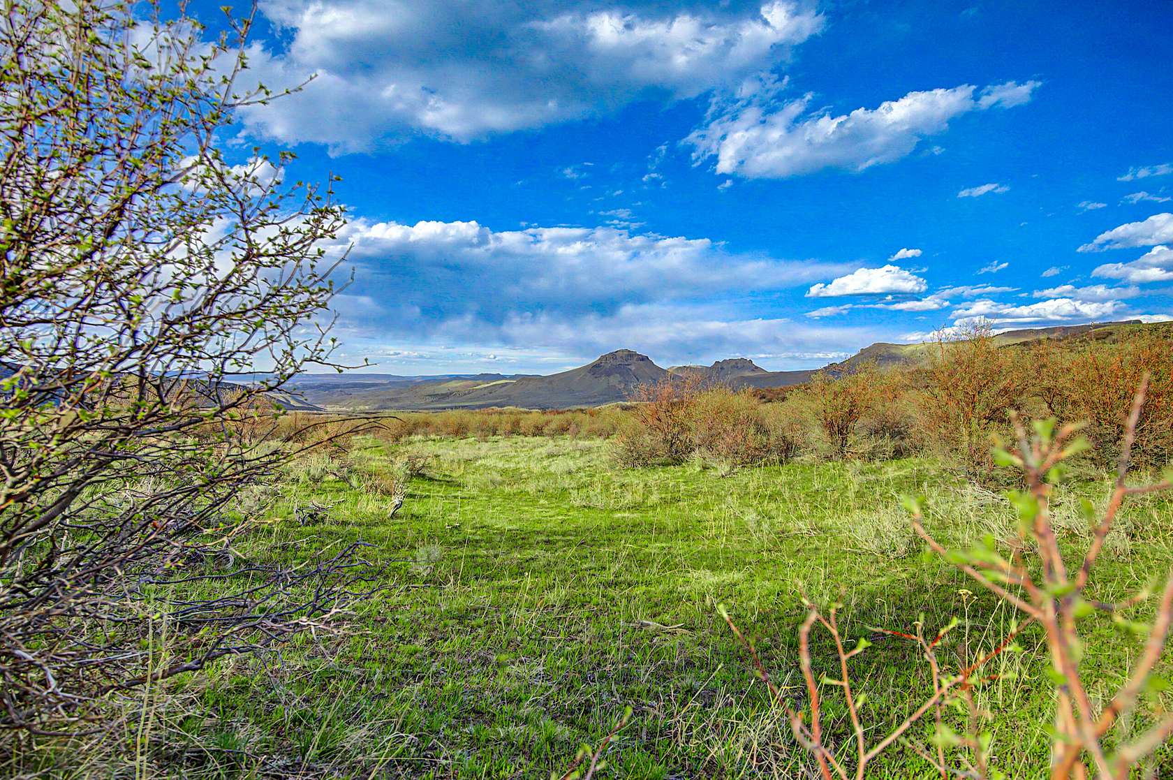 128 Acres of Recreational Land for Sale in Craig, Colorado