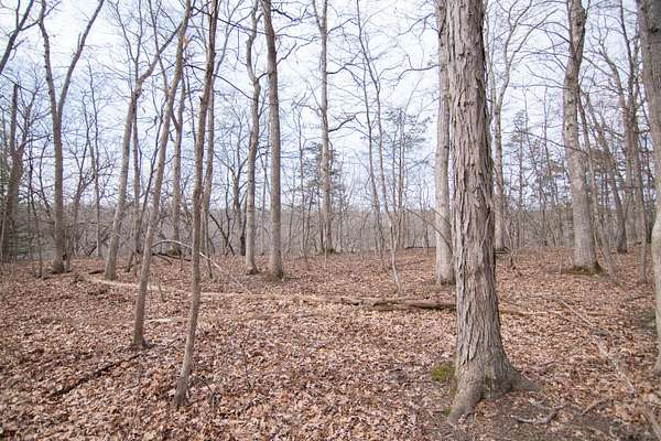 0.68 Acres of Residential Land for Sale in Ann Arbor, Michigan