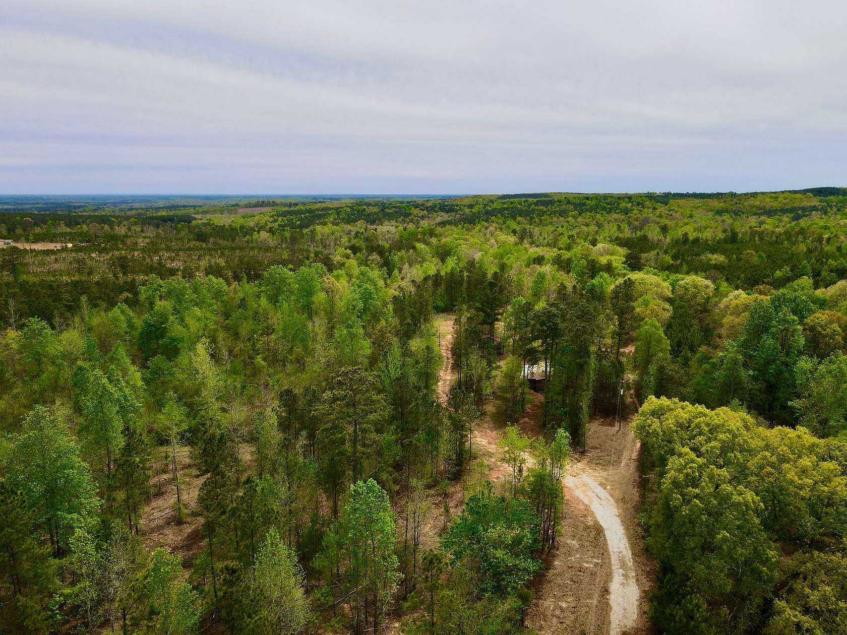 241 Acres of Recreational Land for Sale in Woodland, Alabama