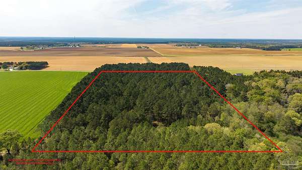 25.1 Acres of Recreational & Residential Land for Sale in Walnut Hill, Florida