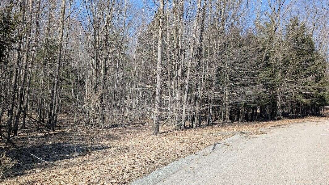 1.34 Acres of Residential Land for Sale in Onekama, Michigan