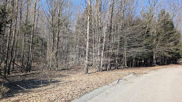 1.34 Acres of Residential Land for Sale in Onekama, Michigan