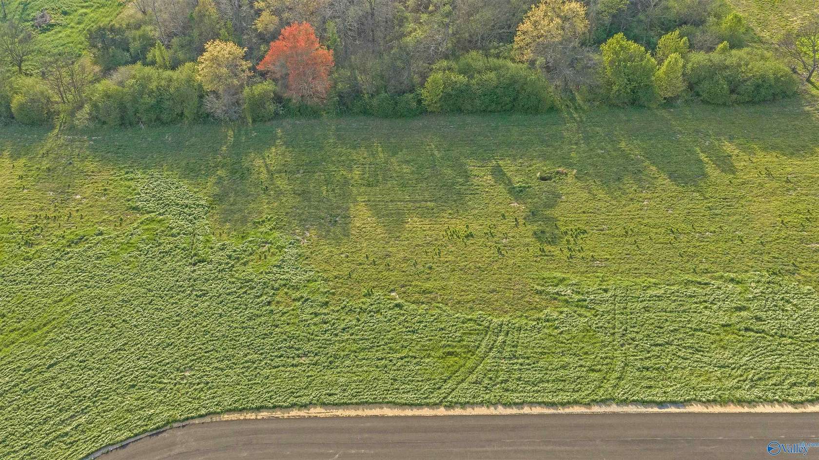 1 Acre of Residential Land for Sale in Rainsville, Alabama