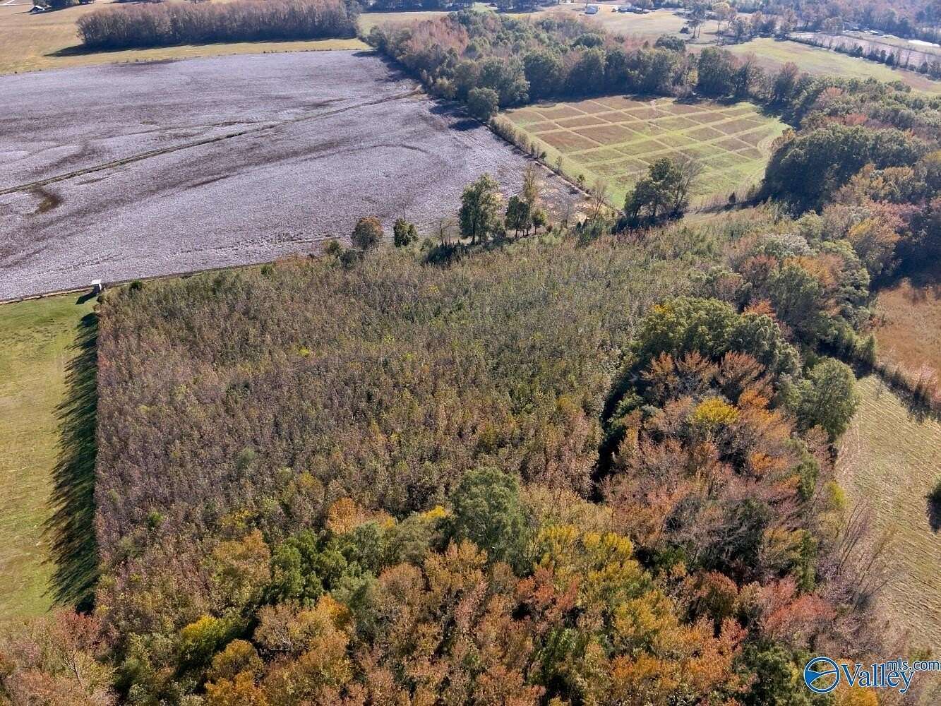 17.8 Acres of Recreational Land for Sale in Lexington, Alabama