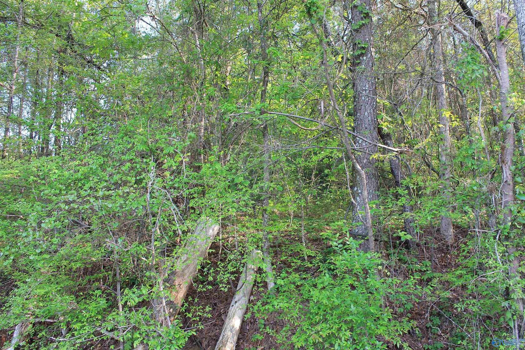 6.65 Acres of Residential Land for Sale in Falkville, Alabama