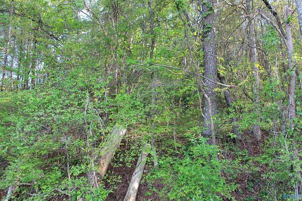 6.65 Acres of Residential Land for Sale in Falkville, Alabama