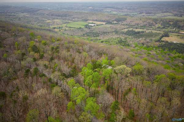 3.5 Acres of Residential Land for Sale in Mentone, Alabama