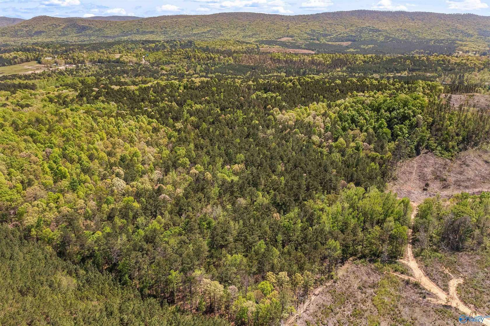 40.4 Acres of Recreational Land with Home for Sale in Piedmont, Alabama