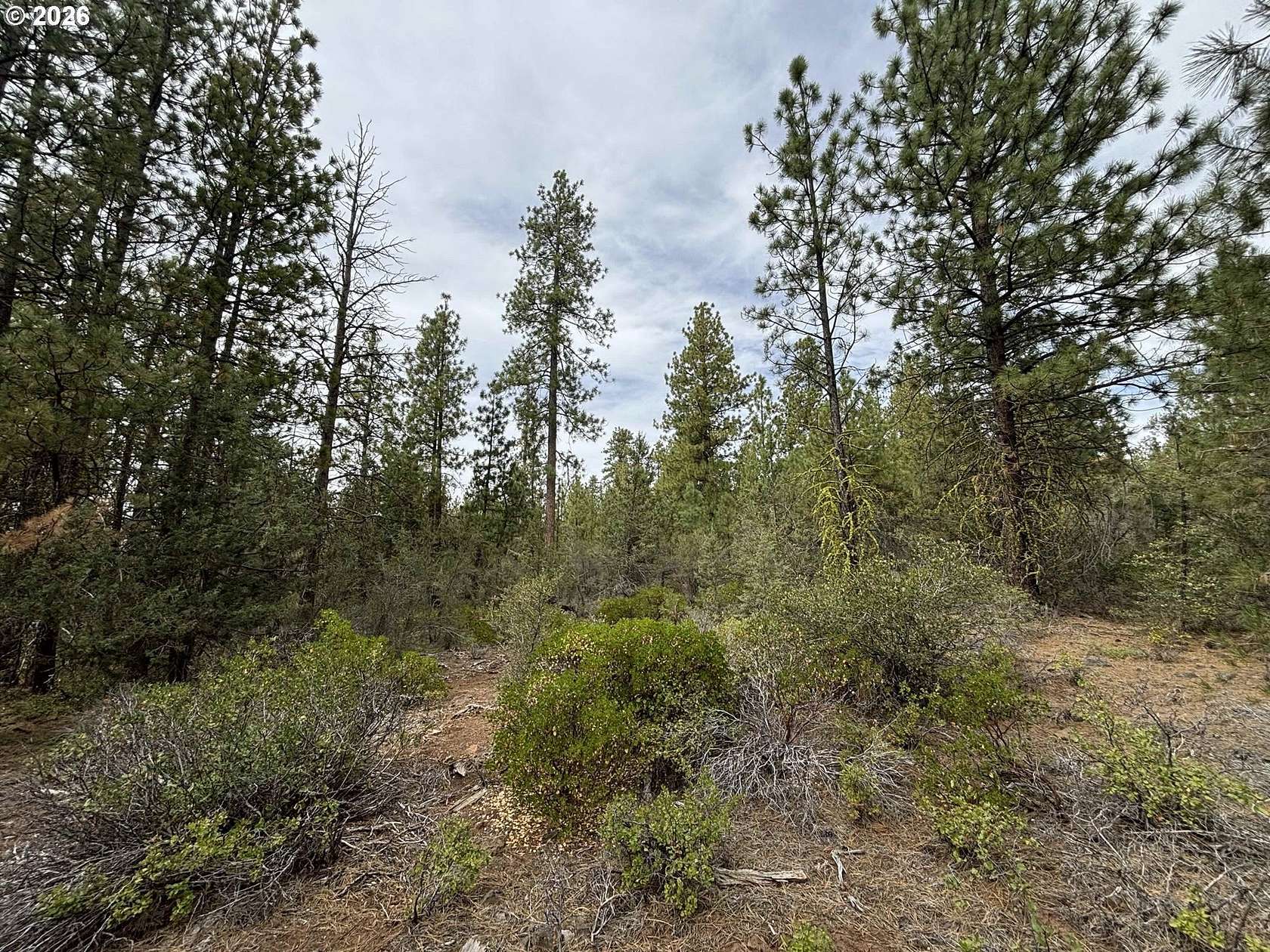 1.78 Acres of Residential Land for Sale in Bonanza, Oregon