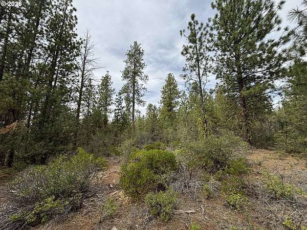 1.78 Acres of Residential Land for Sale in Bonanza, Oregon