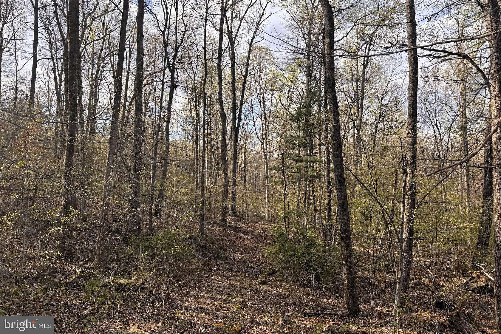 14.3 Acres of Recreational & Residential Land for Sale in Sperryville, Virginia